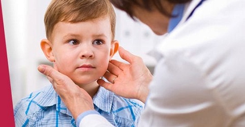 ������� ��������������